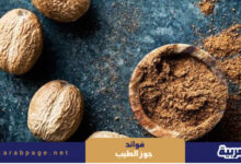 فوائد جوز الطيب ماهو جوز الطيب بالصور 2024 البشرة الشعر