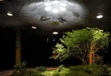 صور اول حديقة تحت الأرض في نيويورك السياحة في امريكا نيويورك 2021