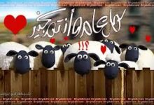 تهنئة رسائل عيد الأصحى 2026 مسجات بمناسبة عيد الاضحى الحج 1447