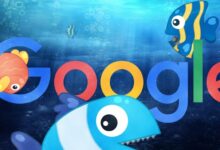 تحديث google fred يضرب المواقع بشكل كبير