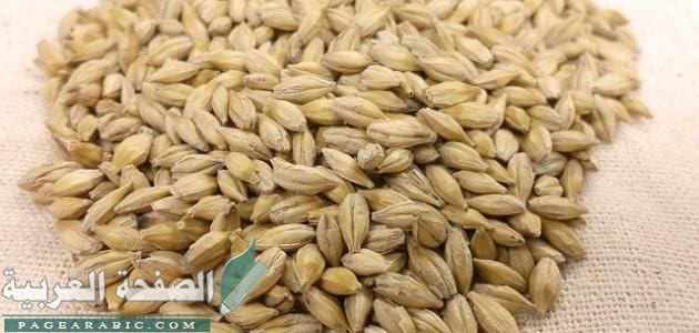 فوائد الشعير العامة