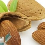 فوائد اللوز المر