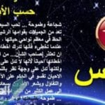 مميزات وعيوب برج القوس