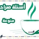 اسئلة صراحه