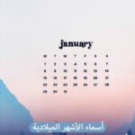 أشهر السنة الميلادية وأهم الأنشطة والفعاليات التي يمكن القيام بها فيها