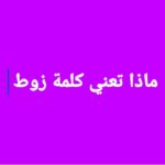 معنى كلمة زوط ماتعني كلمة زوط في السعودية السودان العرب