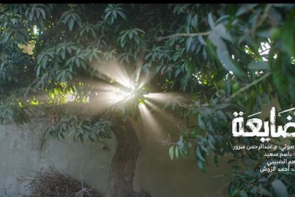 مسلسل الضايعة