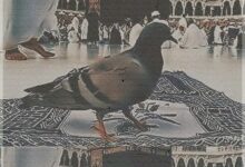 رمزيات بلاك بيري الحج عيد الحج 2014 - 1434